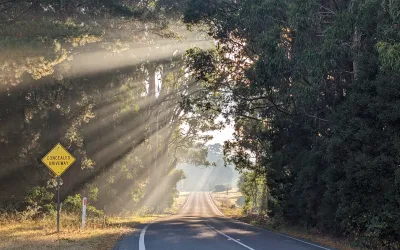The Journey of Growth